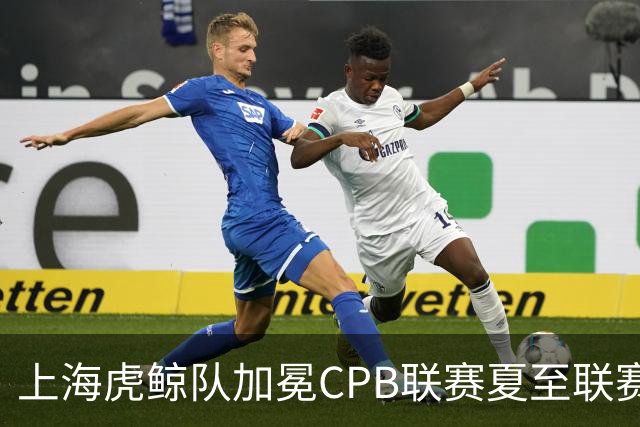 上海虎鲸队加冕CPB联赛夏至联赛总冠军