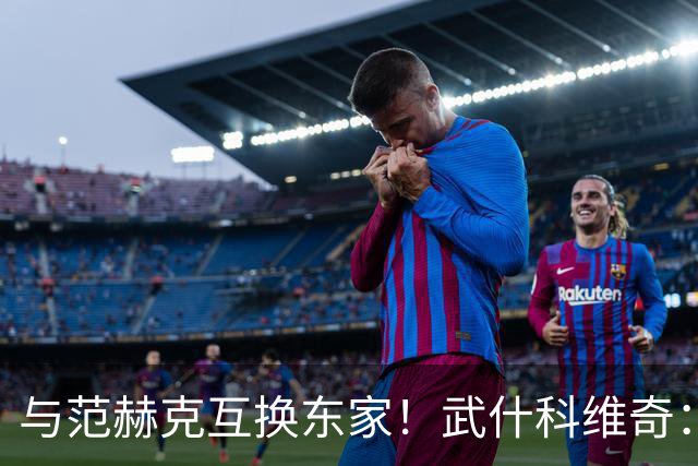 与范赫克互换东家！武什科维奇：我也不知道为什么热刺不想要我了