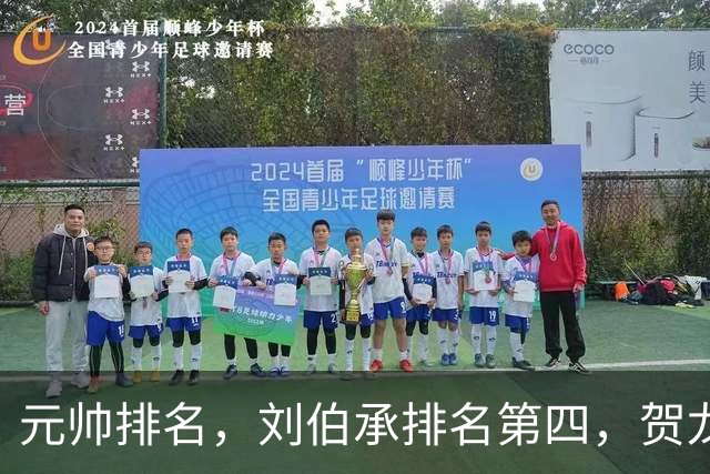 元帅排名，刘伯承排名第四，贺龙排名第五，为啥反而贺龙更受重用