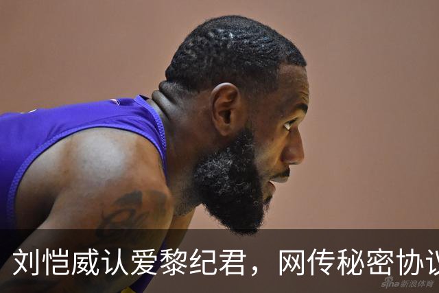刘恺威认爱黎纪君，网传秘密协议「再婚女儿无条件交回杨幂」，刘丹罕回应