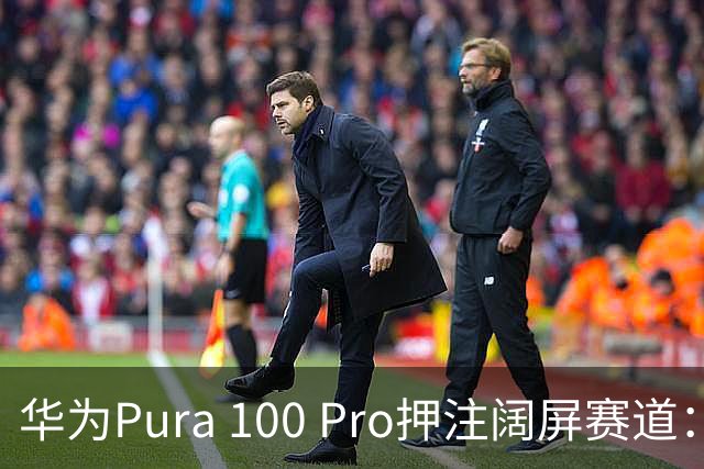 华为Pura 100 Pro押注阔屏赛道：首款全能阔屏影像旗舰已在路上