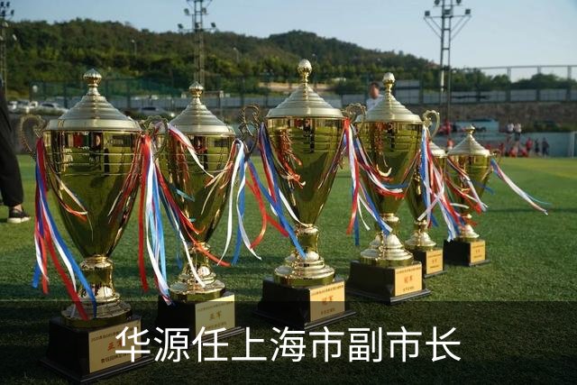 华源任上海市副市长