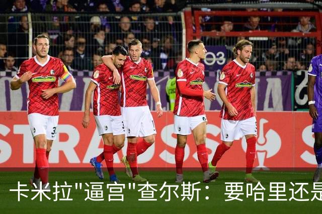 卡米拉"逼宫"查尔斯：要哈里还是要我