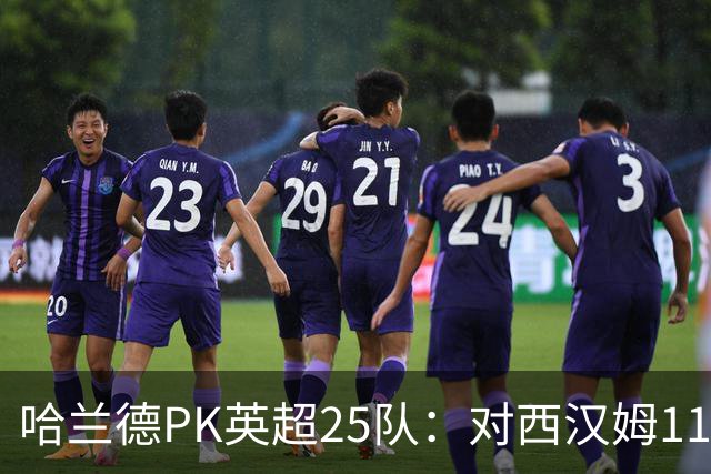 哈兰德PK英超25队：对西汉姆11球最多，对纽卡7场1球最低