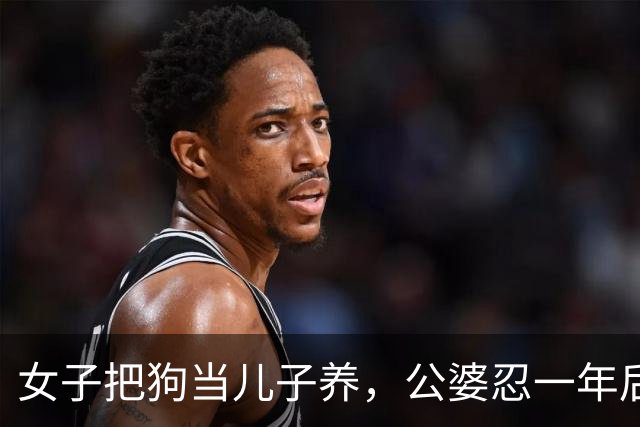 女子把狗当儿子养，公婆忍一年后爆发，老公：要么送狗，要么离婚