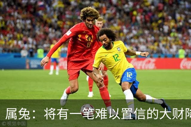 属兔：将有一笔难以置信的大财降临，2027年，你要乐开花