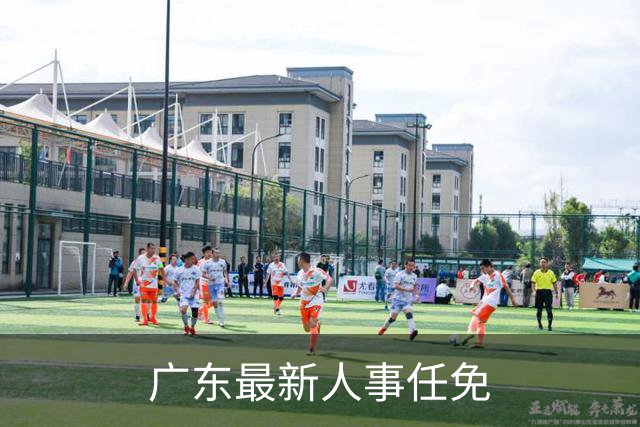 广东最新人事任免