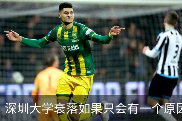 深圳大学衰落如果只会有一个原因，会是哪个原因？