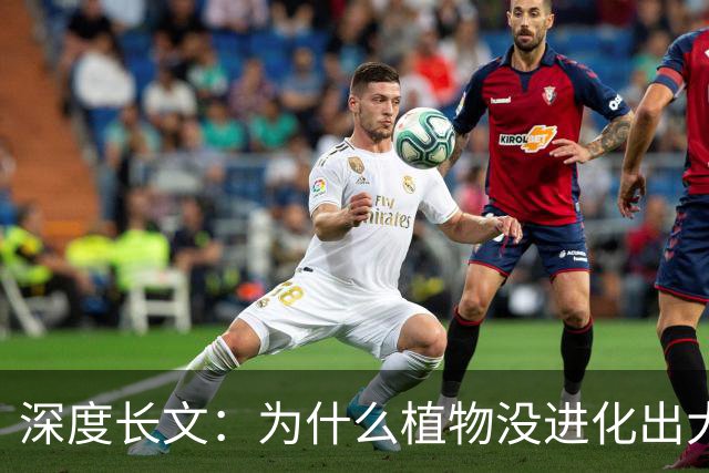 深度长文：为什么植物没进化出大脑？答案颠覆认知！