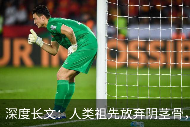 深度长文：人类祖先放弃阴茎骨，换来了无法伪装的亲密！