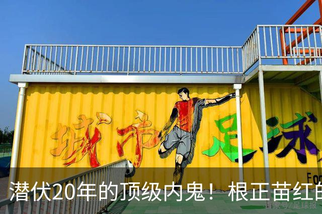 潜伏20年的顶级内鬼！根正苗红的大校武官，却因一个固定习惯，彻底败露
