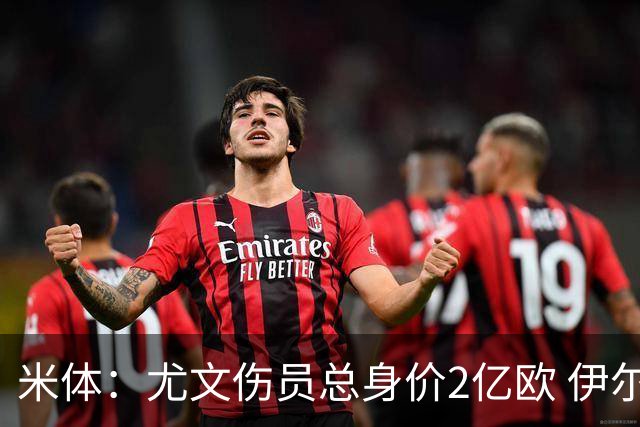 米体：尤文伤员总身价2亿欧 伊尔迪兹等人预计11月回归