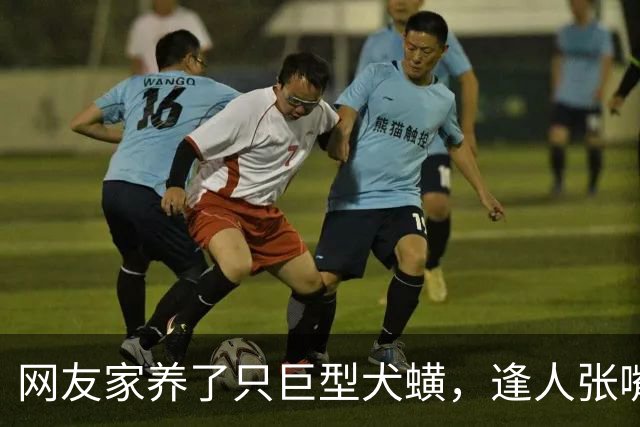网友家养了只巨型犬蟥，逢人张嘴就开吸，主人无奈带去检查，发现竟是多年前的心太软…狗子：时间一长，地久天长，你的拔犬罐来了…