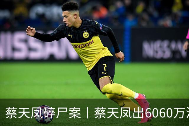 蔡天凤碎尸案丨蔡天凤出6060万港元买加多利山，邝球收697万港元置业回赠