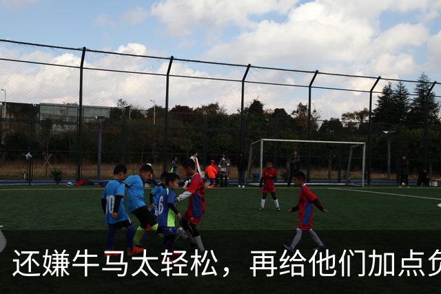 还嫌牛马太轻松，再给他们加点负担！是这个意思吗？