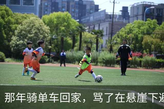 那年骑单车回家，骂了在悬崖下避雨的寡妇，第二年她成了我老婆
