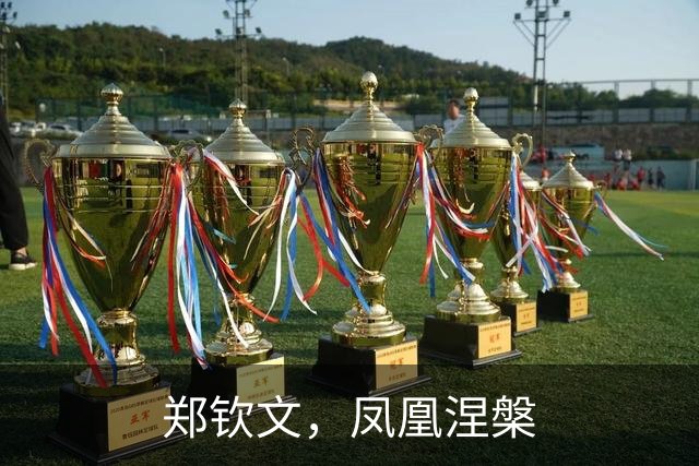 郑钦文，凤凰涅槃