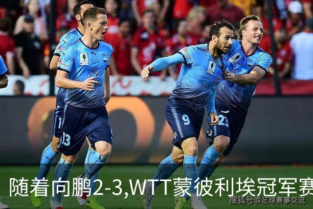 随着向鹏2-3,WTT蒙彼利埃冠军赛男单16强已出15席：仅3名国乒选手