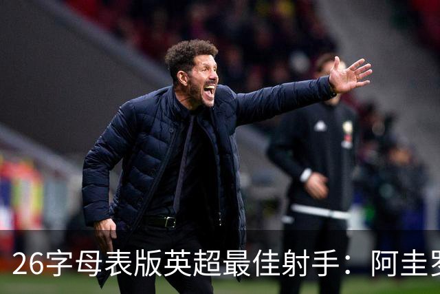 26字母表版英超最佳射手：阿圭罗、亨利、凯恩、托雷斯等在列