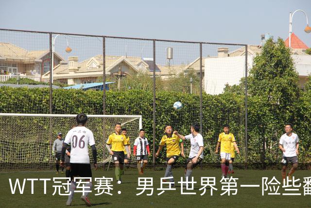 WTT冠军赛：男乒世界第一险些翻车！松岛辉空3-2淘汰华裔直板名将